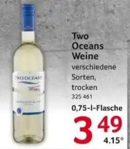 Selgros Two Oceans Weine Angebot