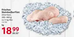 Selgros Frisches Steinbeißerfilet Angebot
