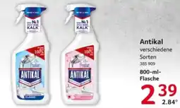 Selgros Antikal Angebot