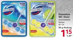 Selgros Domestos WC-Stein Angebot