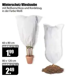 V Baumarkt Winterschutz Vlieshaube Angebot