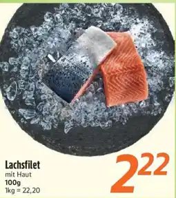 inkoop Lachsfilet mit Haut Angebot