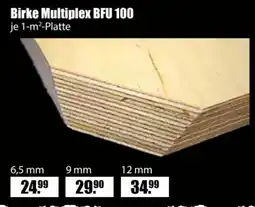 V Baumarkt Birke Multiplex BFU 100 Angebot
