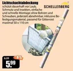 V Baumarkt Lichtschachtabdeckung SCHELLENBERG Angebot