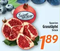 inkoop Sanfucar Granatäpfel Angebot