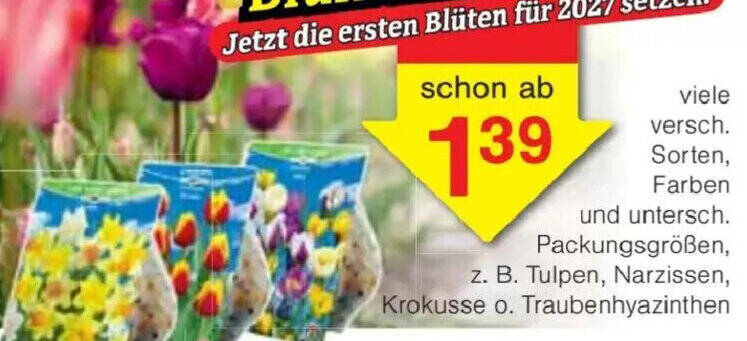 Blumen Angebot bei Jawoll