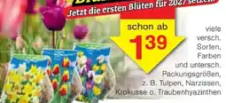 Jawoll Blumen Angebot