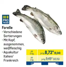 METRO Forelle PRO TRACE Angebot