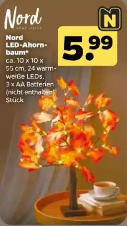 Netto Nord LED-Ahornbaum* Angebot