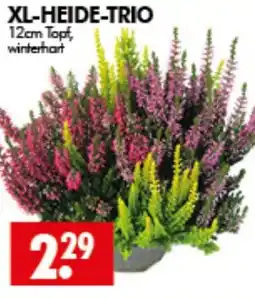 Wreesmann XL-HEIDE-TRIO Angebot