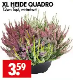 Wreesmann XL HEIDE QUADRO Angebot