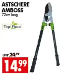 Wreesmann ASTSCHERE AMBOSS Angebot