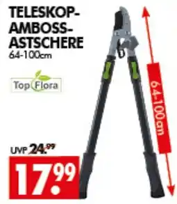 Wreesmann TELESKOP-AMBOSSTASTSCHERE Angebot