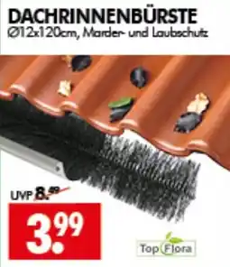Wreesmann Dachrinnenbürste Angebot