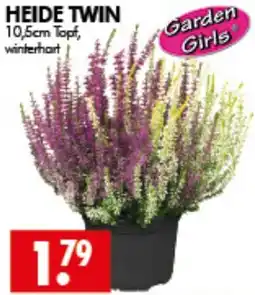 Wreesmann HEIDE TWIN Angebot
