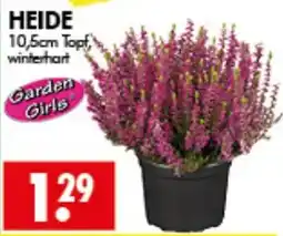 Wreesmann HEIDE Garden Girls Angebot