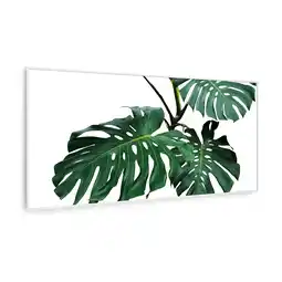 Netto Marken-Discount Wonderwall Air Art Smart Infrarotheizung Grünes Blatt 120x60cm 700W 120 x 60 cm Angebot