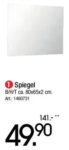 Zurbrüggen Novel Spiegel Angebot