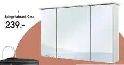 Zurbrüggen Spiegelschrank Cesa Angebot