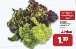 Famila Nord West Salatrio Angebot