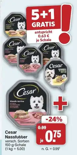 Famila Nord West Cesar Nassfutter Angebot