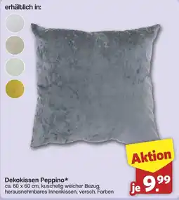 Famila Nord West Dekokissen Peppino* Angebot