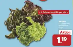 Combi Salatrio Angebot