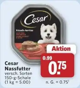 Combi Cesar Nassfutter Angebot