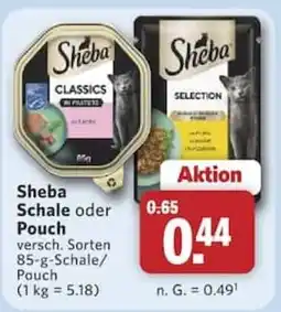 Combi Sheba Schale oder Pouch Angebot