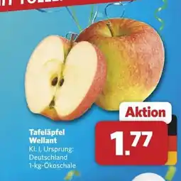 Combi Tafeläpfel Wellant Angebot