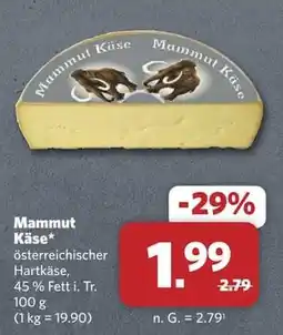 Combi Mammut Käse Angebot