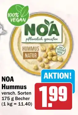 HIT NOA Hummus Angebot