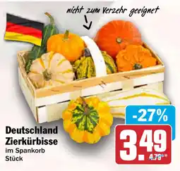 HIT Deutschland Zierkürbisse Angebot