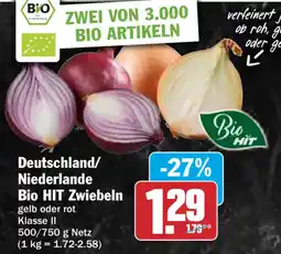 HIT Bio HIT Zwiebeln Angebot