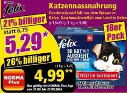 Norma Katzen Nassnahrung Felix Angebot