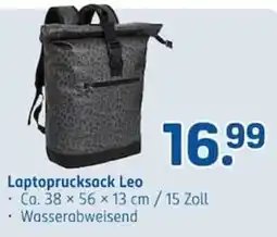 Rossmann Laptoprucksack Leo Angebot