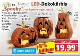 Norma i-glow by flower power LED-Dekokürbis Angebot