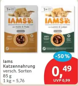 Budni Iams Katzenfutter Angebot