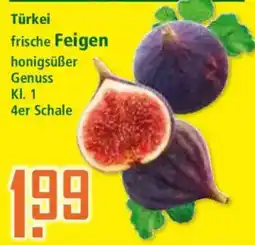 Klaas und Kock Türkei frische Feigen Angebot