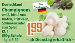 Klaas und Kock Champignons Angebot