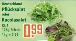 Klaas und Kock Deutschland Pflücksalat oder Rucolasalat Angebot