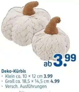 Rossmann Deko-Kürbis Angebot