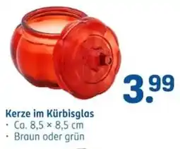Rossmann Kerze im Kürbisglas Angebot