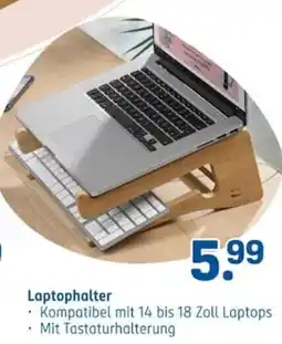 Rossmann Laptophalter Angebot