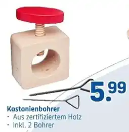 Rossmann Kastanienbohrer Angebot