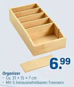 Rossmann Organizer Angebot
