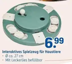 Rossmann Interaktives Spielzeug für Haustiere Angebot