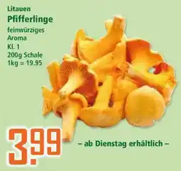 Klaas und Kock Litauen Pfifferlinge Angebot