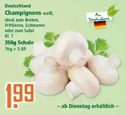 Klaas und Kock Champignons weiß Angebot
