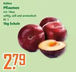 Klaas und Kock Pflaumen Angebot